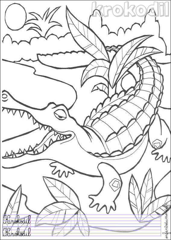 coloriage crocodile 1